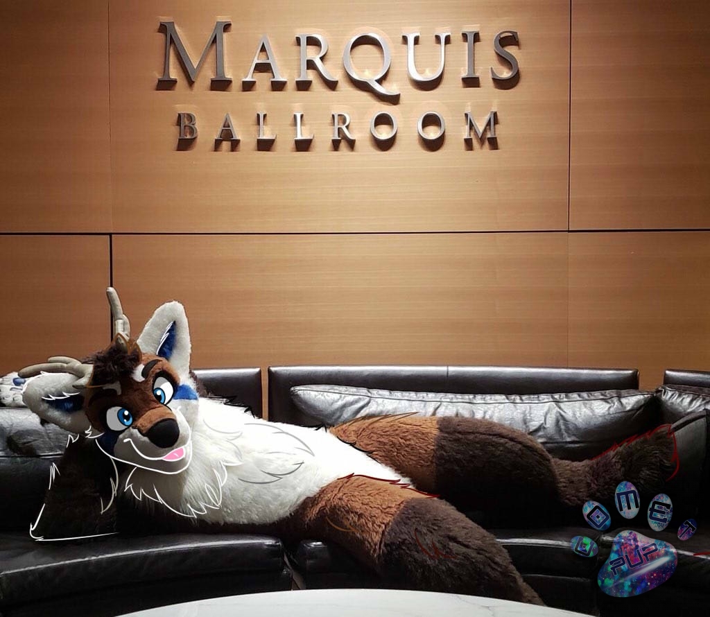 Who wants snuggles with Bullet at FWA 2019?