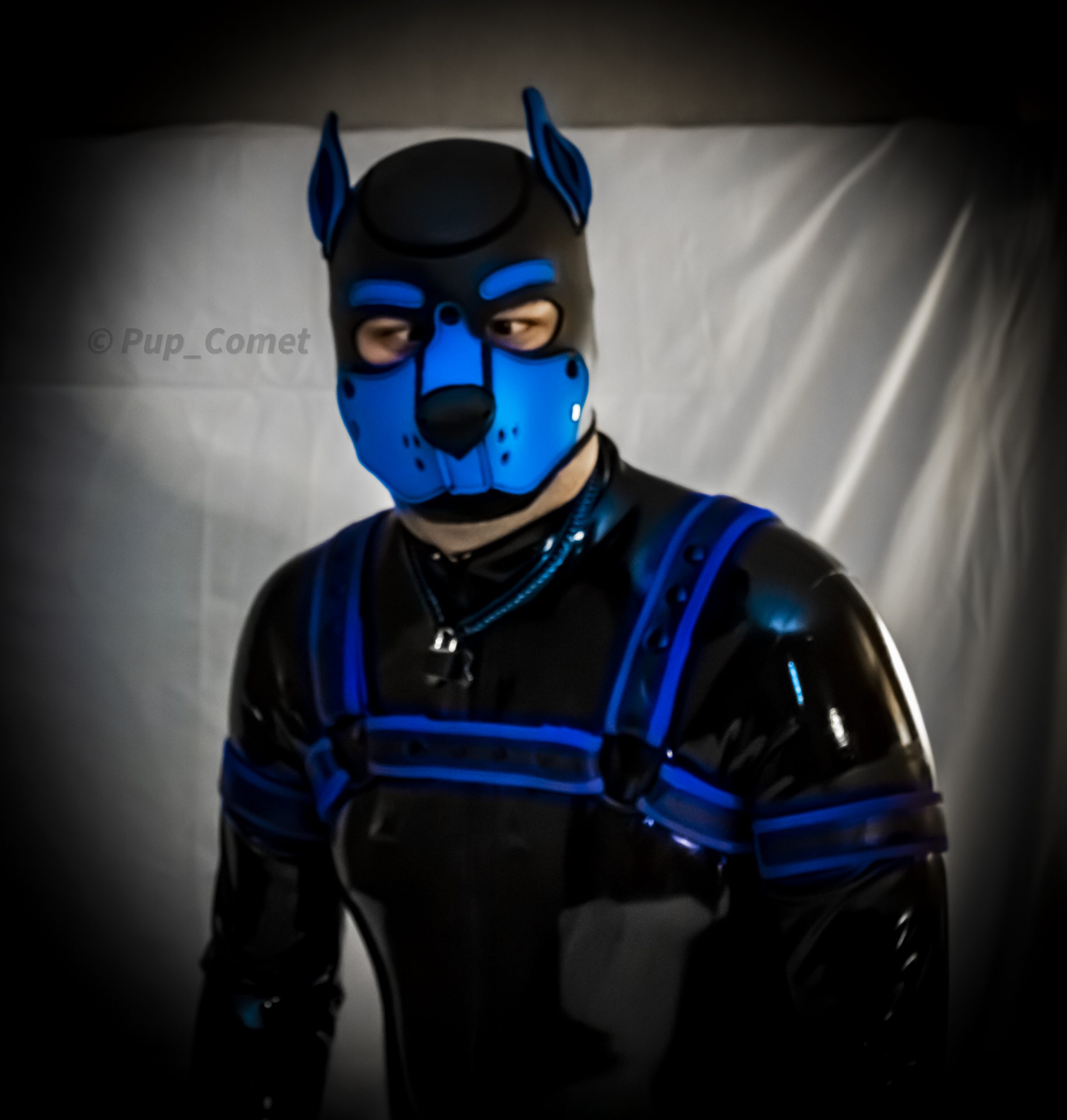 Things not to do 101, with @Pup_Comet: 1, do not stare at the end of your nose, or you will find your eyes stuck and then get a migraine. Not always is there a treat there to find.