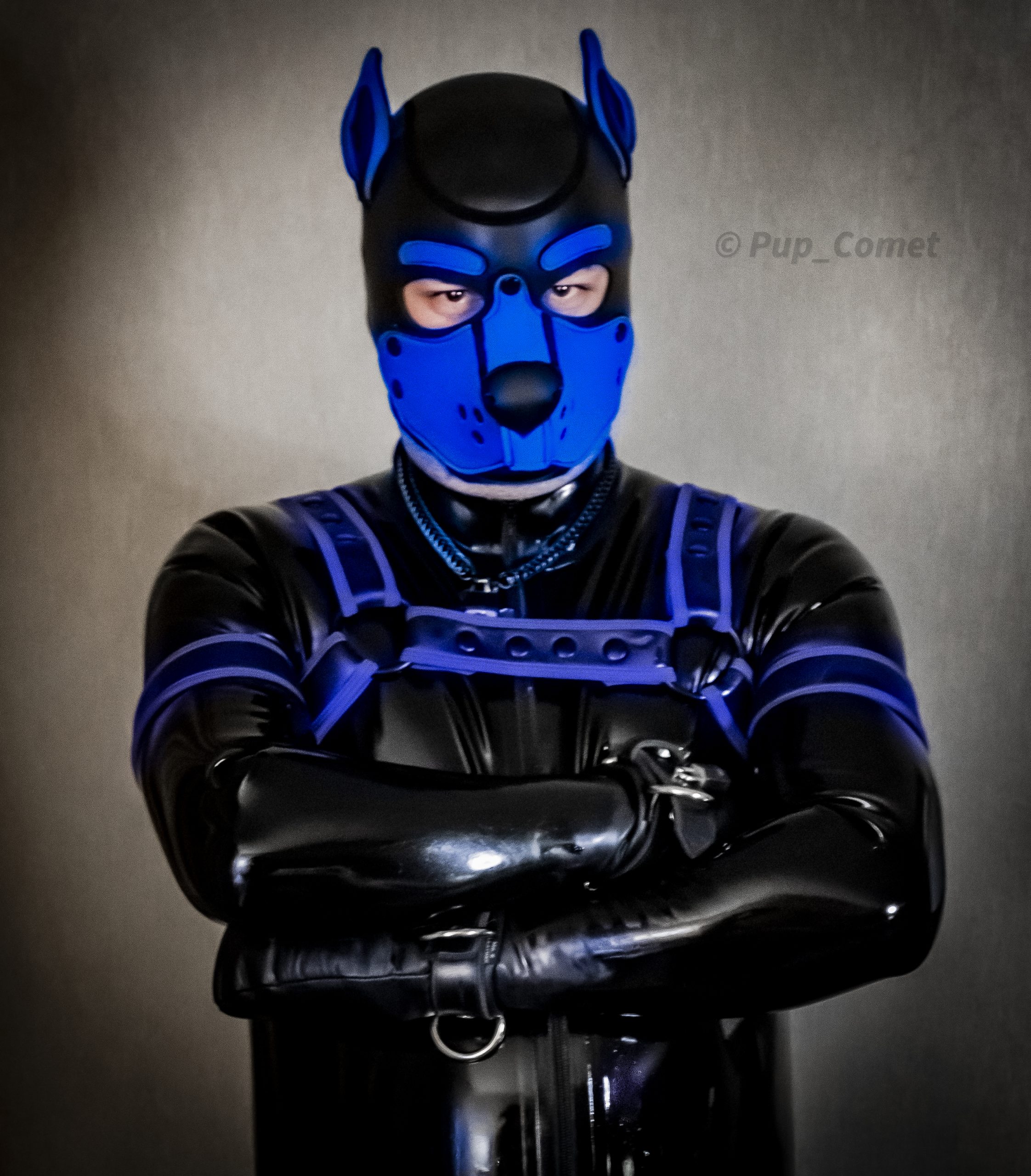 Well, Since @Pup_bull already leaked this picture, I guess I will share this today as well…. Who wants to see more?