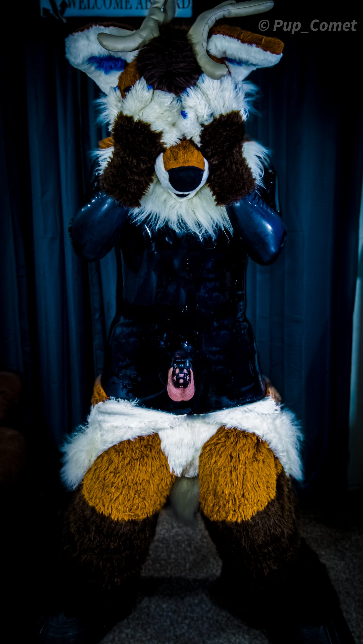 Poor Pandeer, locked and shiny! #MurrsuitMonday