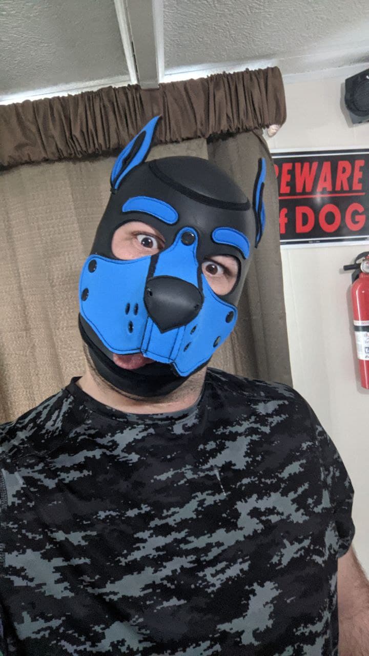 Been bored lately, need someone to tie this puppy up!   :P